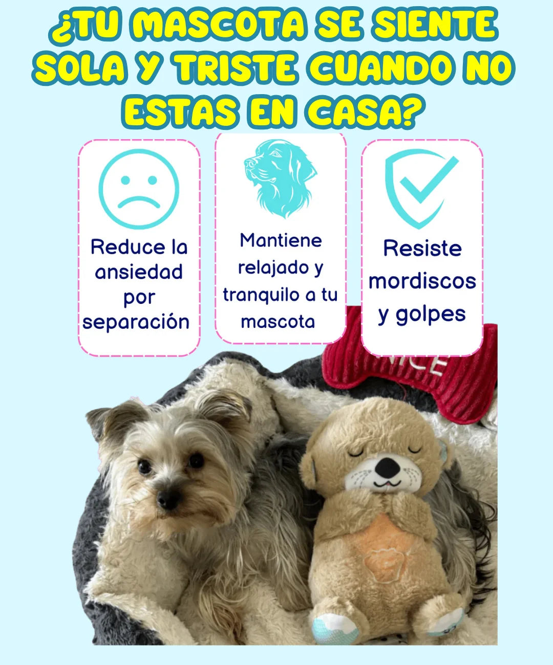 Peluche Nutria | Respira Y Tranquiliza.