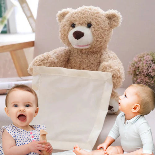 Peluche de Osito con Manta